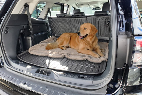 Best Car Accessories for Dog Owners